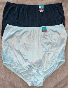 VF Lace Nouveau Nylon Briefs ~ Azure Mist & Savannah Blue ~ Size 10 XXXL NWT - Picture 1 of 8