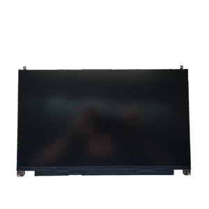 ✔️Dell Precision 7550 LCD Screen W/ L + R Rail NV156FHM-N4R 066XPP - Afbeelding 1 van 14
