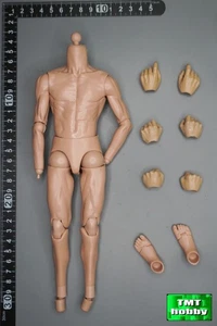 Escala 1:6 IQO Modelo 91012 Segunda Guerra Mundial Ejército Japonés Birmania Campaña - Cuerpo (Sin cabeza y pies) - Imagen 1 de 2