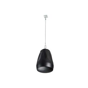Cloud CVS-P42TB 4,25" Anhänger Lautsprecher - Bild 1 von 1