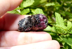 Seltener Granat in Biotit 3cm Hamaroy Norwegen Mineralien Sammlung Lithotherapie - Bild 1 von 5