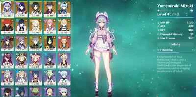 AR57 [ЕС] Mizuki Raiden Xiao Lyney Eula Yelan + 7 героев 4 оружия - Изображение 1 из 2