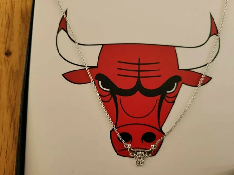 NBA - Chicago Bulls Team Pendant Necklace and Earrings set Cover
