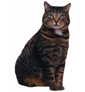 Tarjeta de felicitación troquelada en blanco Brown Tabby Cat - Imagen 1 de 1