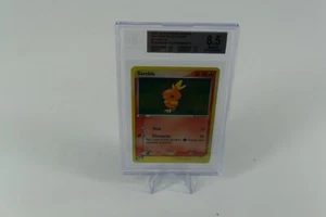PSA 8 NM MINT Torchic Pokeball Euro POP Tournament Holo Pokemon Promo Black Star - Foto 1 di 3