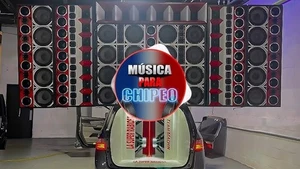 Musica Para Chipeo | Chuchero Usb | Usb Con Musicas Para Musicologo | 32gb - Picture 1 of 1