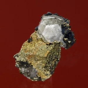 Melanson TN Coll. Chalcopyrite on Fluorapatite Eagle Mine, Colorado 1212-8821 - Picture 1 of 6