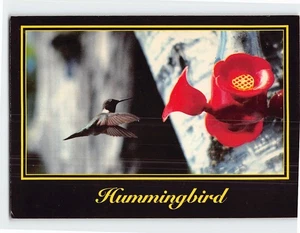 Postkarte Kolibri - Bild 1 von 2