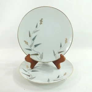 JOY by Noritake Multicolor Triangular Leaves Set of 2 Salad Plates 8 1/4" - Picture 1 of 3