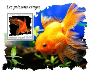 Goldfish MNH Stamps 2023 Guinea S/S - Picture 1 of 1