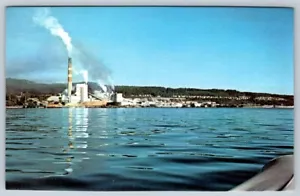 MacMillan Bloedel Pulp Mill, Powell River British Columbia, Vintage Postcard - Bild 1 von 2