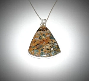 Petrified Wood & Sterling Silver Hand Forged One of a Kind Unique Necklace - Picture 1 of 8