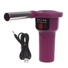 Portable Purple USB Powered Barbecue Blower with One Wind Speed for Picnics