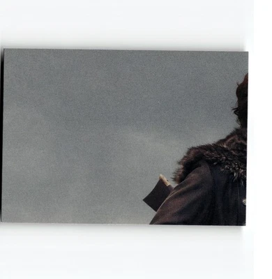 6-0-1-NS PWE . outlander 4 . cryptozoic 2020 puzzle #Z7 (C) - Image 1 of 2