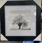 White leaves blossomed tree wall art picture with liquid art, mount& black frame