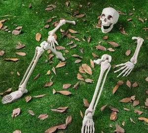 Halloween Lawn Decor Skeleton Stake..New Sealed - Picture 1 of 3