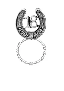 R179 Good Luck Horseshoe 18 Brooch Drop Hoop Holder For Glasses, Pen Jewellery - Picture 1 of 2
