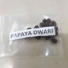 Papaya Dwarf Seeds