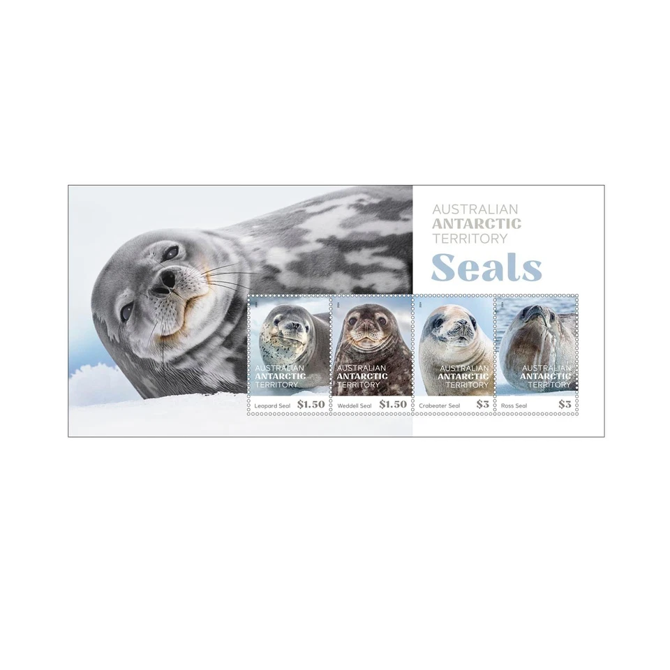 Australia - Australian Antarctic Territory: Seals - Image 1 of 1