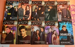 Angel. Vampire TV Series Tie In Book Bundle. Fantasy Jeff Mariotte. - Picture 1 of 23