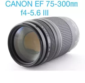 Telephoto Lens Canon Ef 75-300Mm - Picture 1 of 6