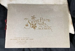 COLORADO SILVER PLUME MINES & SCENERY publication mining photographs detail 1904 - Bild 1 von 6
