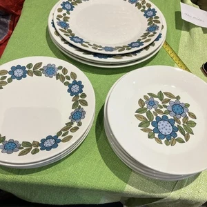 J & G Meakin Studio 1960s Retro Topic Blue Flora Job Lot Of Plates 15 Mixed Size - Picture 1 of 9