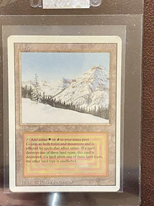 Taiga X (1) MTG Revised EX/NM (RG) 050125.0126.1 4RCards - Picture 1 of 2