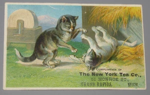 VINTAGE ADVERTISING NEW YORK TEA CO. GRAND RAPIDS MICH CATS VICTORIAN TRADE CARD - Picture 1 of 2