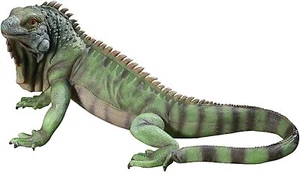 Large Green Iguana Statue Reptile Sculpture Garden Patio Animal Lizard Decor 22" - Picture 1 of 12