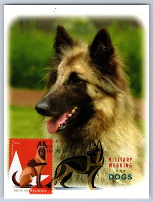 #5407 Military Working Dogs Belgian Malinois FDC Maxi Card w/DCP Cancel - Image 1 of 2