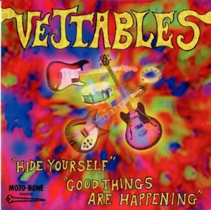 THE VEJTABLES Hide Yourself 7" w/PS RE 60s GARAGE PSYCH The Preachers - Picture 1 of 2