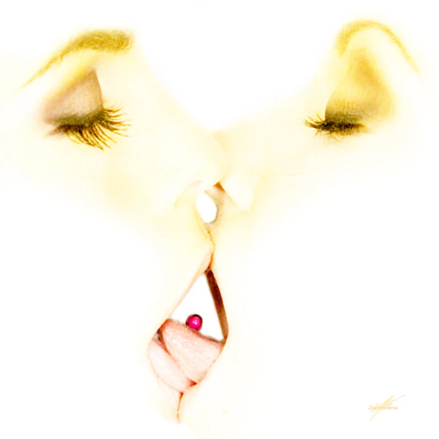 Inconnu Collection - Two Girls Kissing - 24" x 24" Canvas Art Poster - Imagem 1 de 1