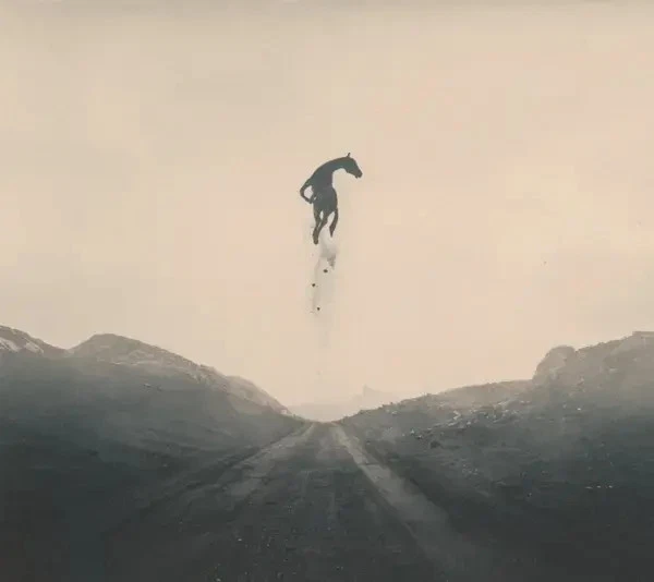 CD Digi Crippled Black Phoenix Great Escape