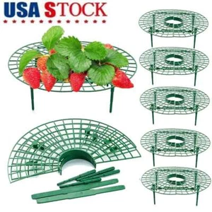 5Pcs Strawberry Stand Frame Holder Balcony Planting Rack Fruit Support Garden US - Picture 1 of 10