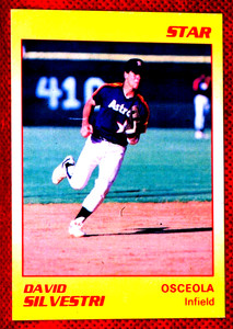 1989 Star #18 David Silvestri (Osceola Astros) ..........S00311