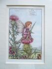 CICELY MARY BARKER - The Thistle Fairy, Flower Fairies - Vintage Mounted Print