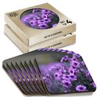 8 x Boxed Square Coasters - Purple Geranium Flower  #13069