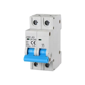 Interruttore Magnetotermico Automatico 2P 220V 6KA 2 Moduli DIN (40 Ampere, 1) - Foto 1 di 5