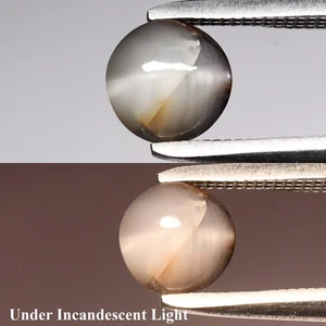 💎 1.32ct Round Cabochon Natural Light Purple Cat's Eye Alexandrite - Russia Gem - Picture 1 of 6