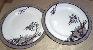 2 Burleigh Ware Hampton England Brown Gold Earthenware 22.5cm 9” Luncheon Plates - Picture 1 of 12