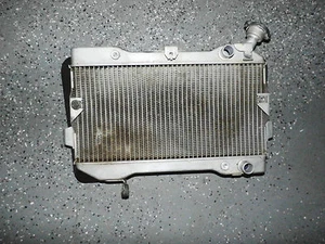 Suzuki LTR450 LTR 450 Radiator Rad Cooler Engine Motor - Bild 1 von 4