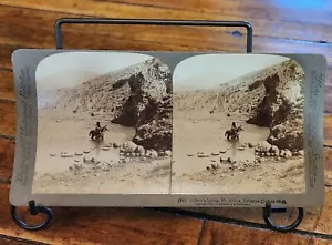 Antico stereoveduta sottobosco 1900 GIDEONI SUPPORTO A MOLLA GILBOA PALESTINA - Foto 1 di 2