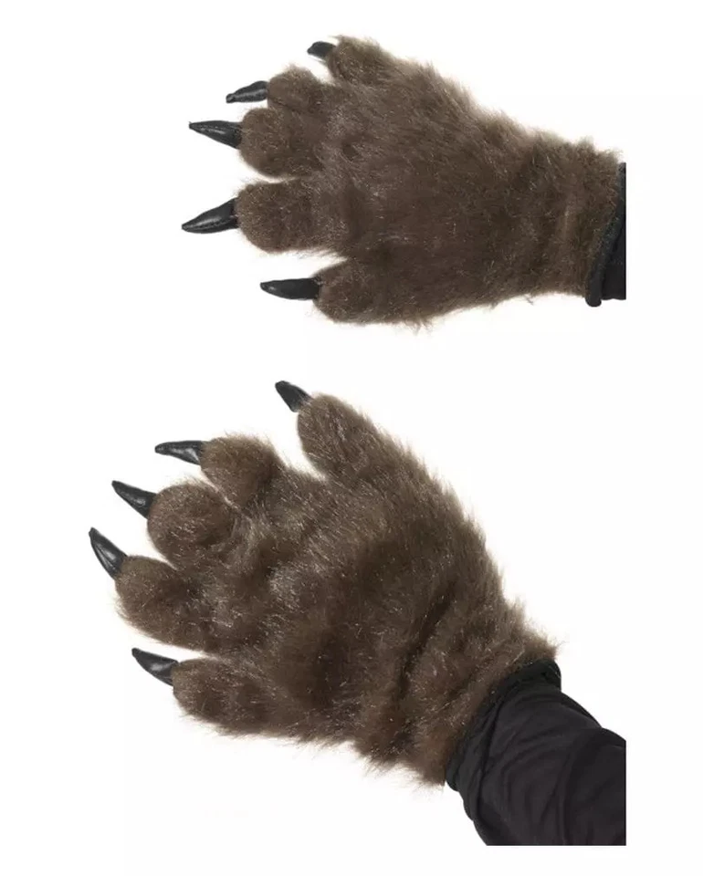 Braune Bärentatzen - Bild 1 von 1