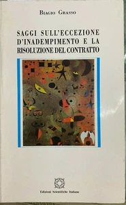(Diritto) SAGGI SULL'ECCEZIONE D'INADEMPIMENTO E LA RISOLUZIONE DEL CONTRATTO - Imagen 1 de 1