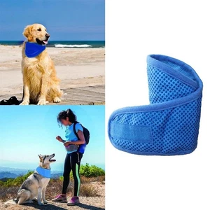 Atmungsaktives Kühlhalsband für Haustiere Schal für Katzen Hunde Outdoor Somm - Picture 1 of 15