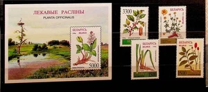BELARUS Sc 168-72 NH ISSUE OF 1996 - MEDICAL PLANTS (OJ25) - Picture 1 of 1