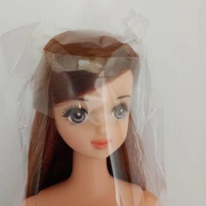 LICCA CASTLE Modepuppe M1114 10,62 Zoll/27 cm JENNY Freund TAMAKI OOAK Fun Doll - Bild 1 von 4