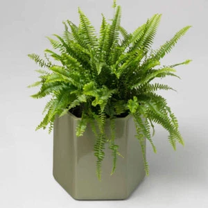 Giant Ceramic Planter EX-Display 34cm RRP£195.00 - Picture 1 of 7