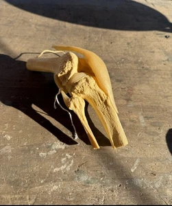 VTG 1970s Anatomical Knee Joint Model Medical School Aid Doctor's Office Display - Picture 1 of 7